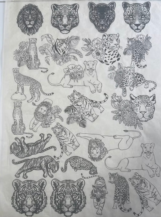 Big Cats