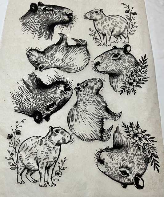 Capybaras
