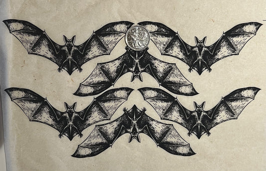 Bats