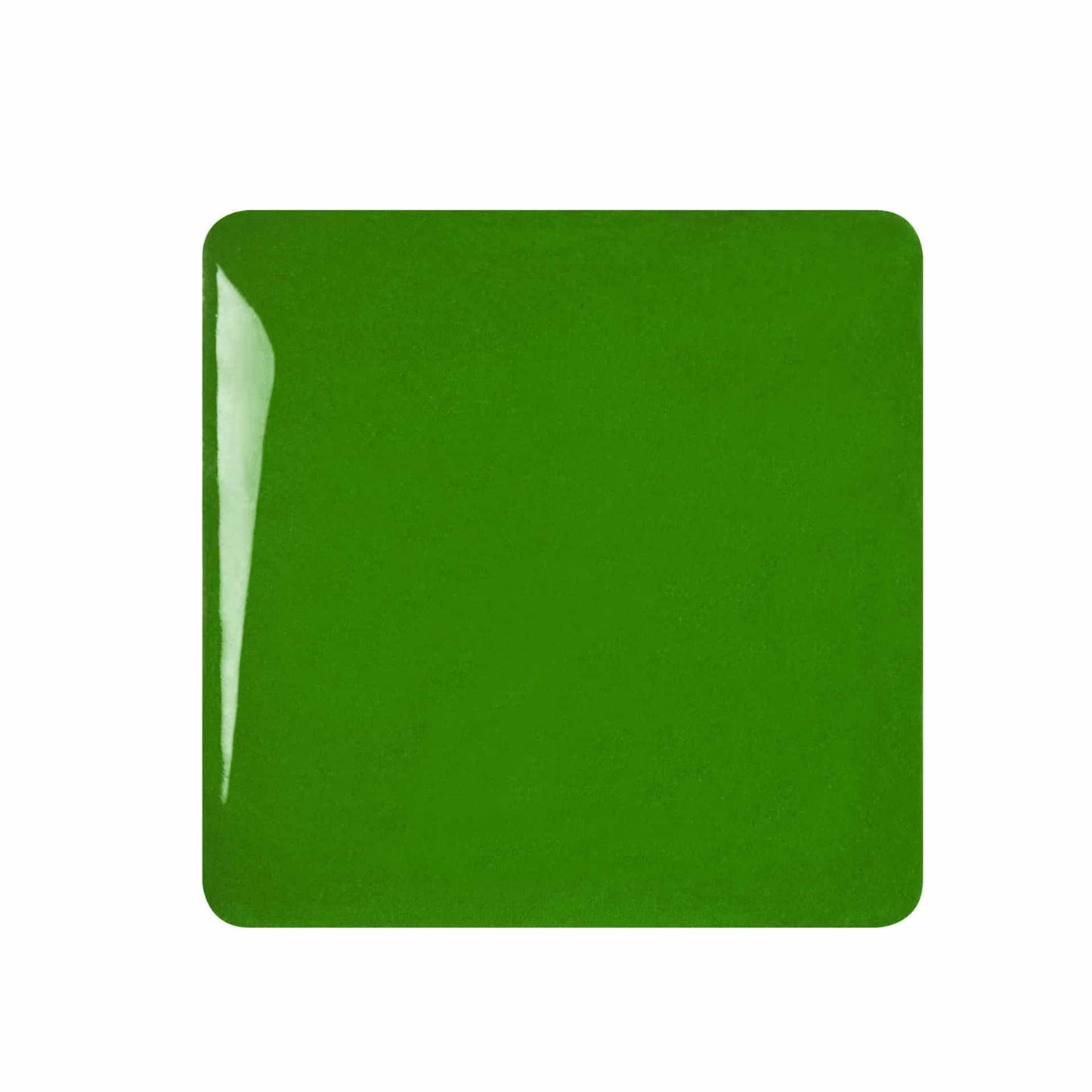 Speedball Studio Plus - Evergreen