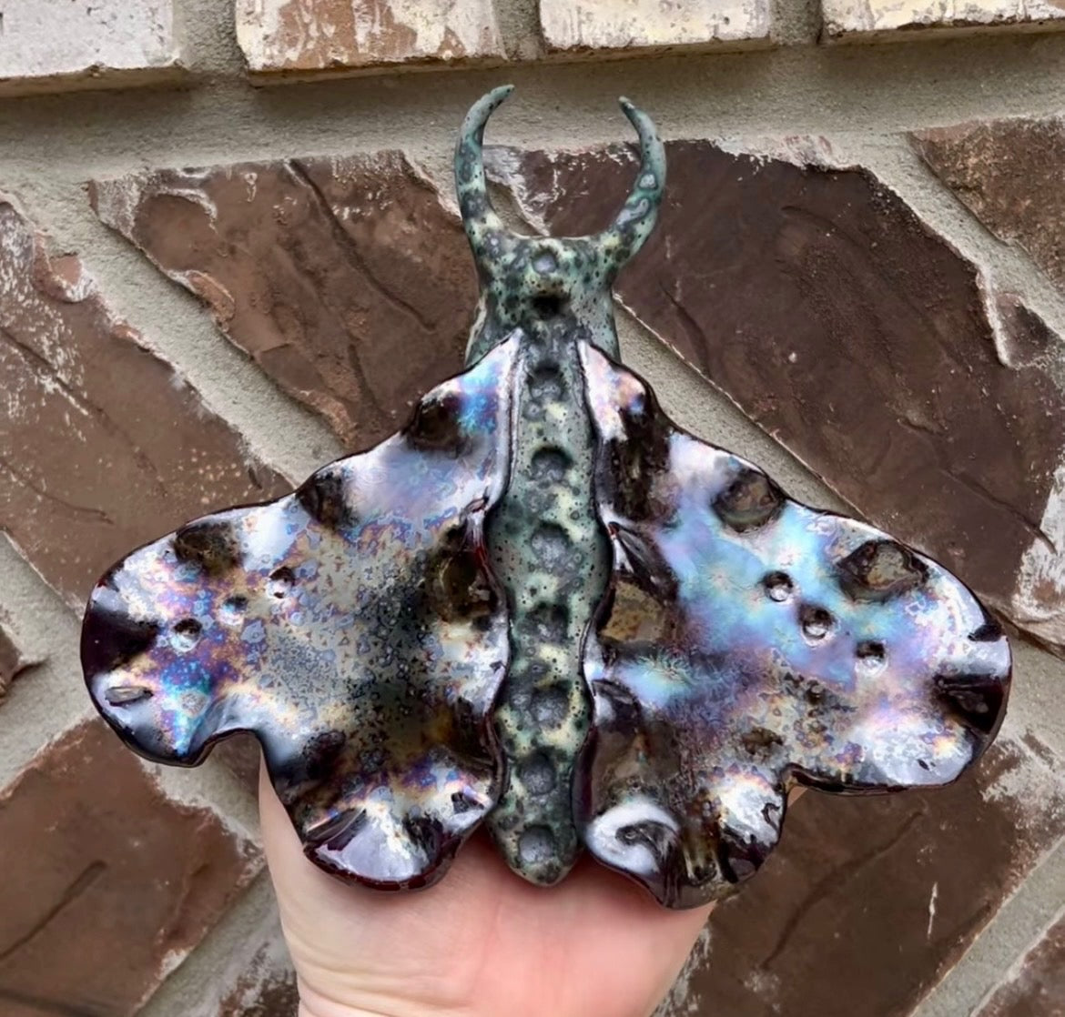 Build-A-Bug Workshop (6/27)