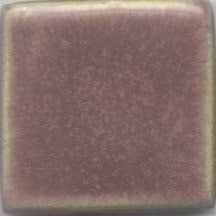 Eggplant - MBG056